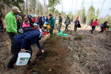 POGOZDOVANJE V RAKOVEM ŠKOCJANU 19 FOTO LJUBO VUKELIČ